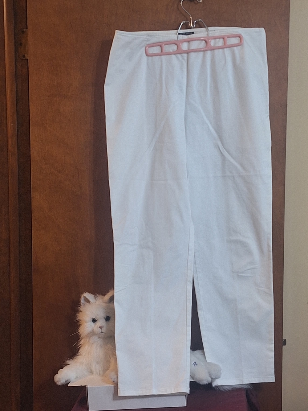 Ann Taylor White Pant Slacks With Side Zipper